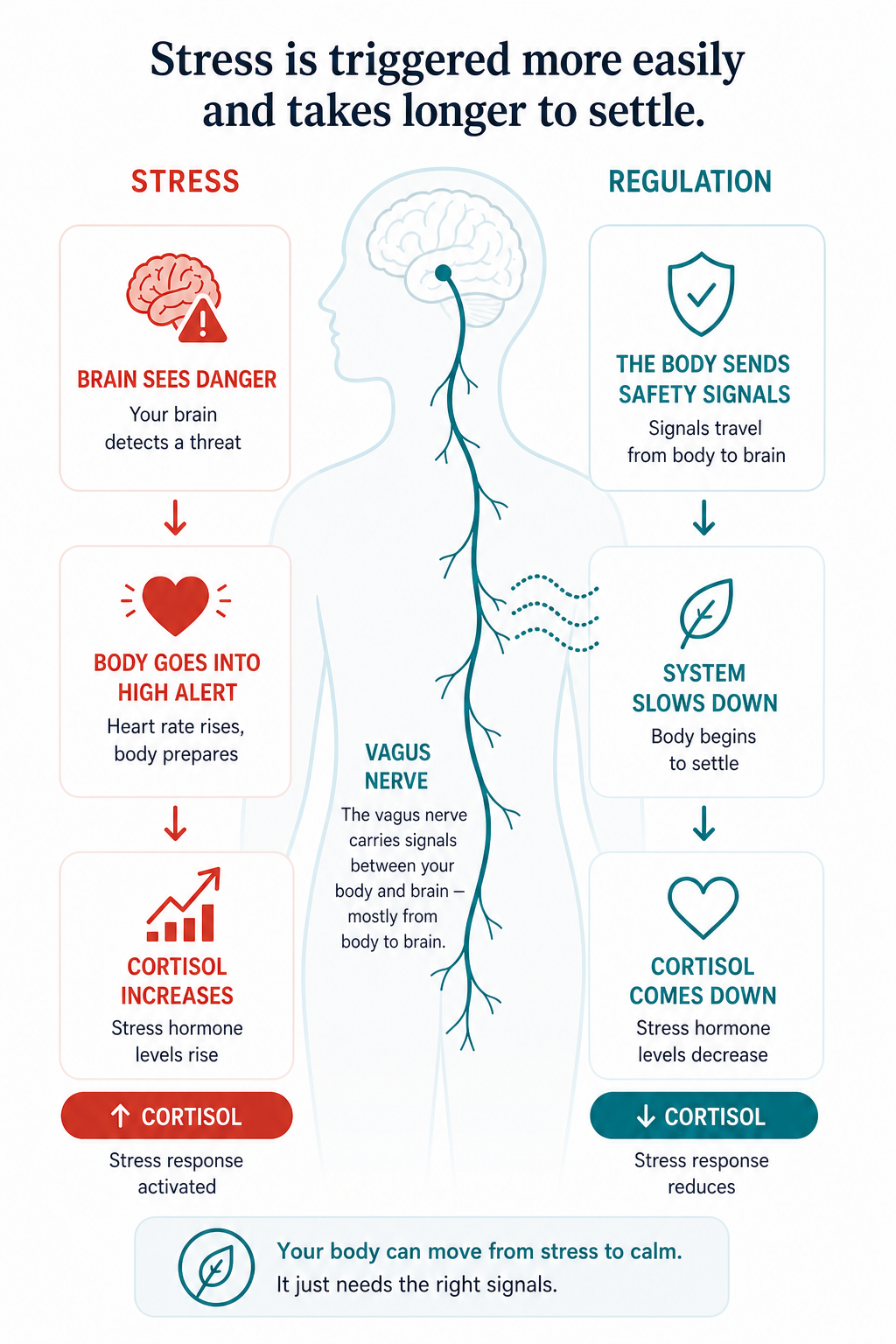 Stress is triggered more easily and takes longer to settle