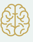 Brain